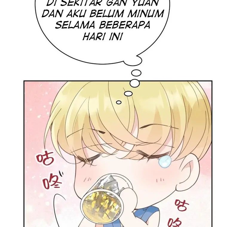 Halaman 20 dari 31
