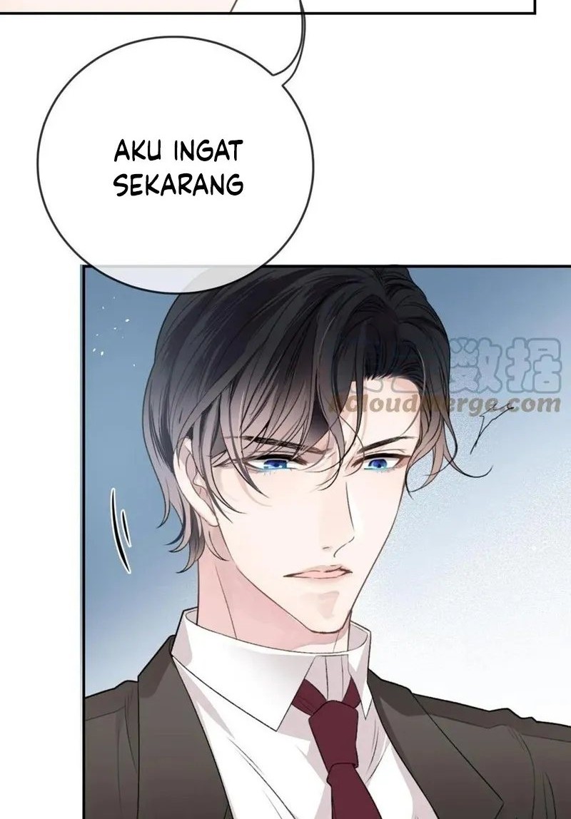 Halaman 8 dari 30