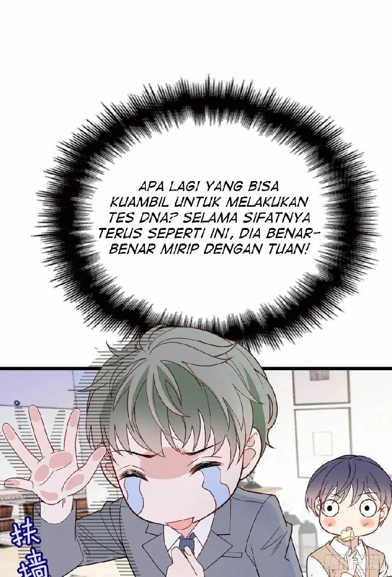 Halaman 48 dari 53