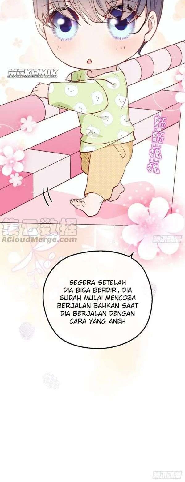 Halaman 15 dari 19