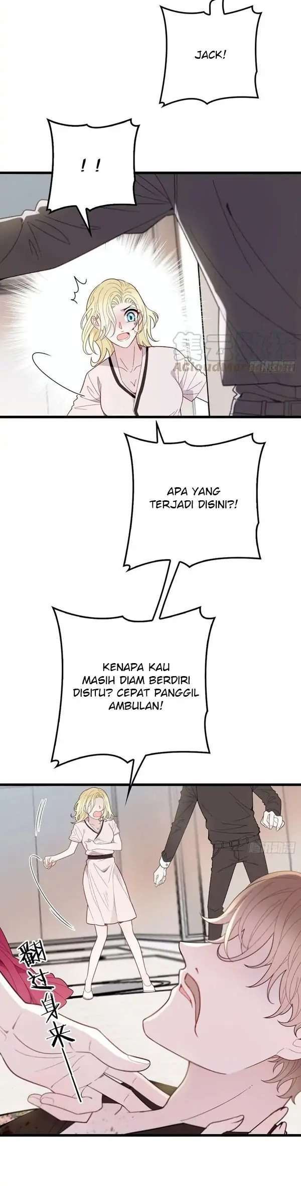 Halaman 3 dari 24