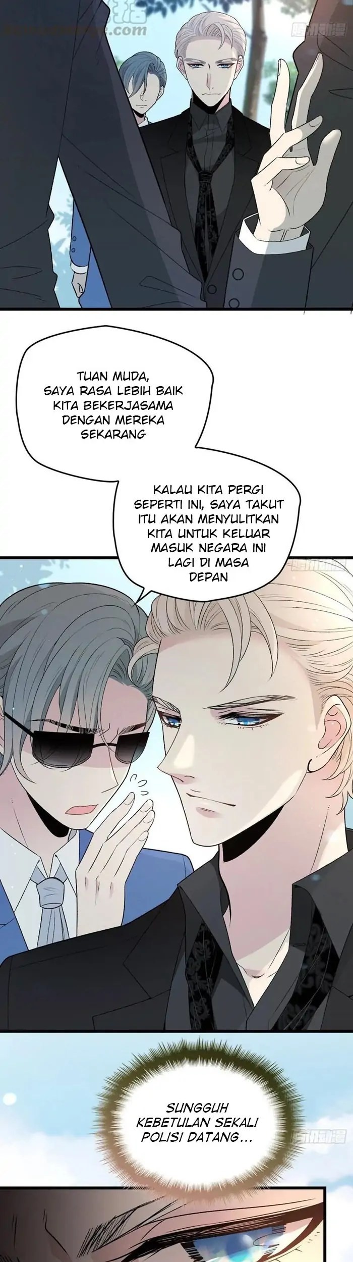 Halaman 11 dari 24