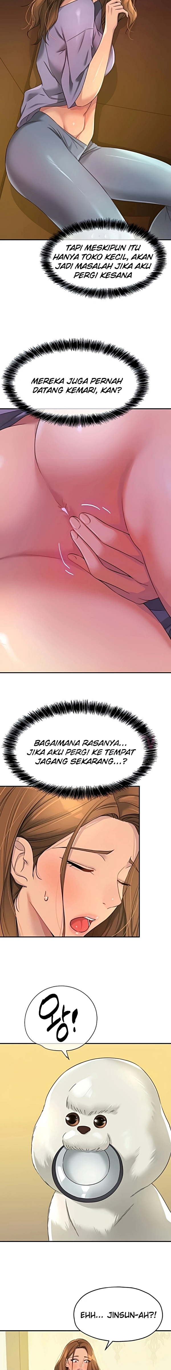 Halaman 3 dari 17