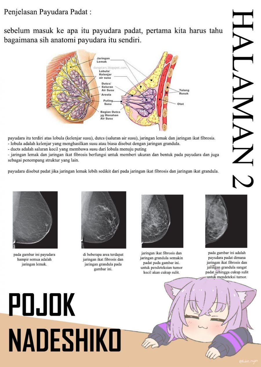 Halaman 23 dari 24