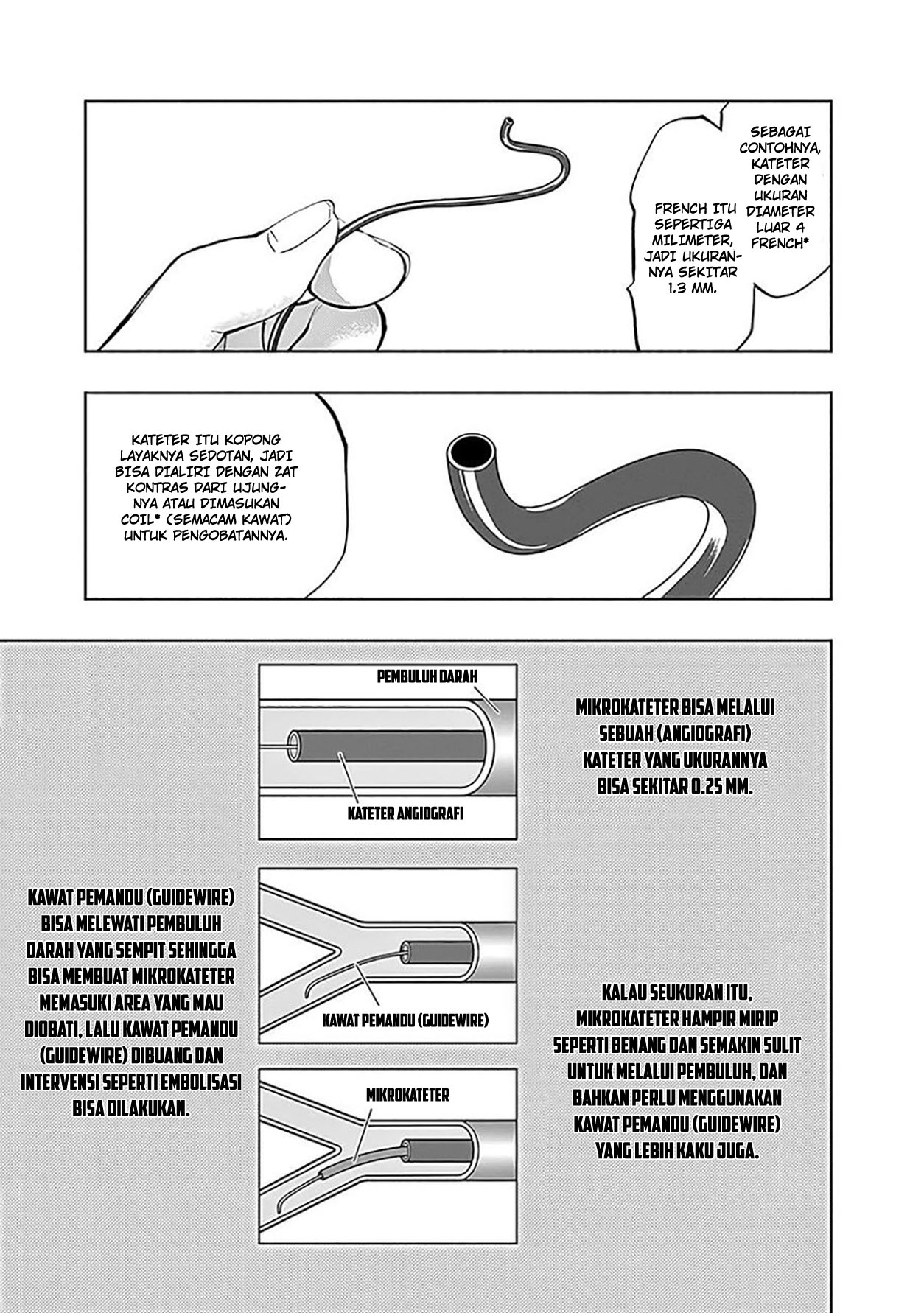 Halaman 17 dari 25