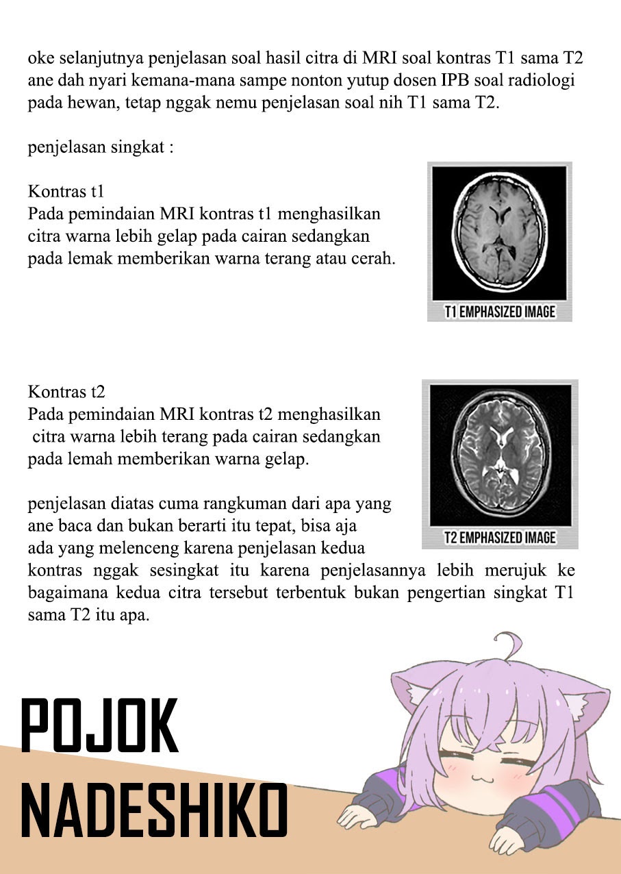 Halaman 24 dari 25