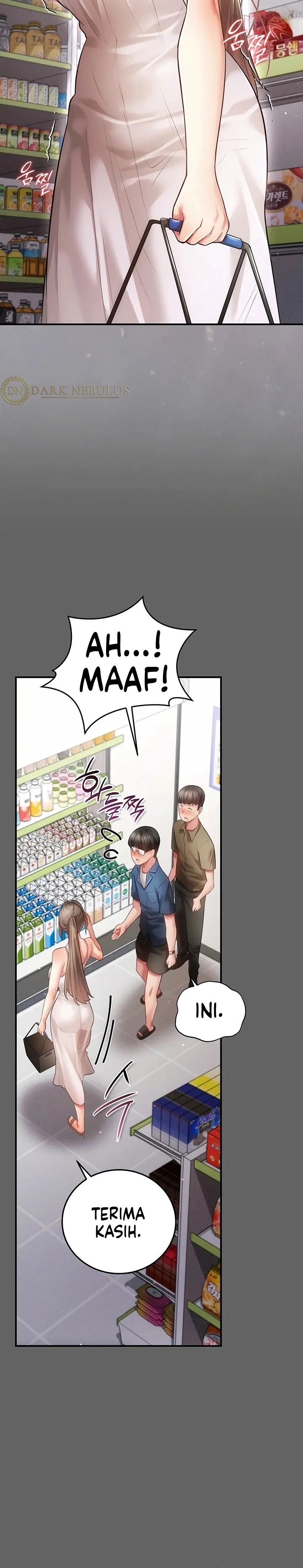 Halaman 17 dari 40