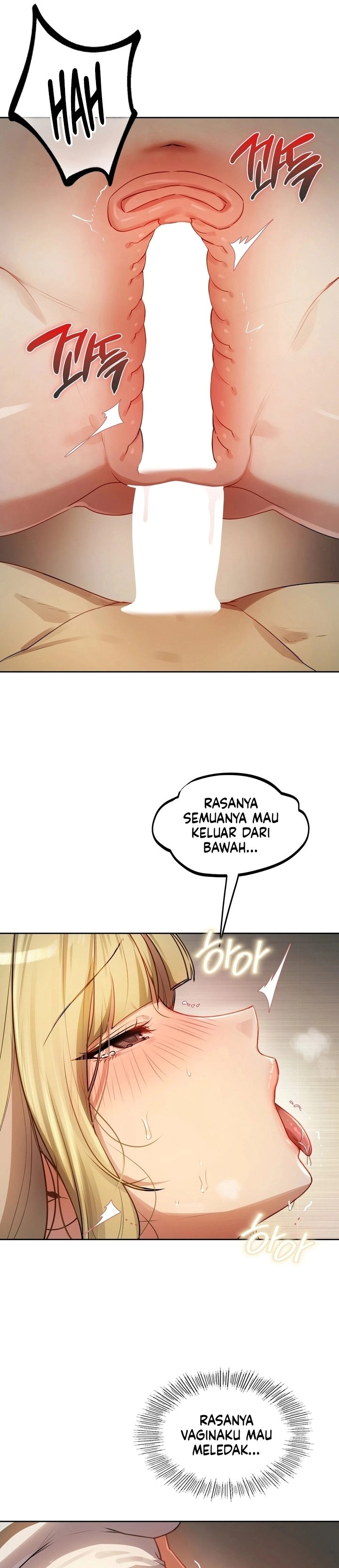 Halaman 12 dari 27