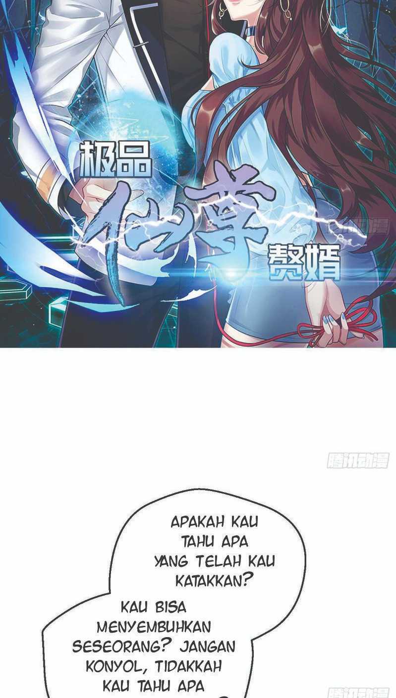 Halaman 3 dari 31