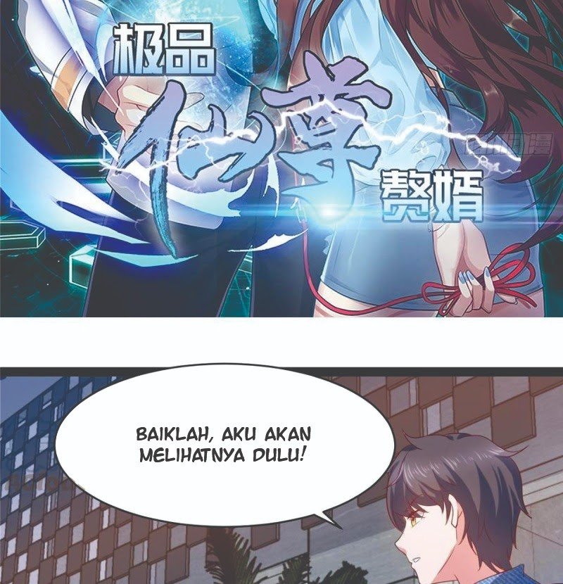 Halaman 4 dari 51