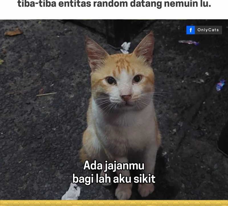 Halaman 52 dari 53
