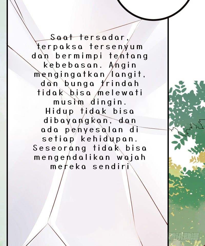 Halaman 12 dari 43