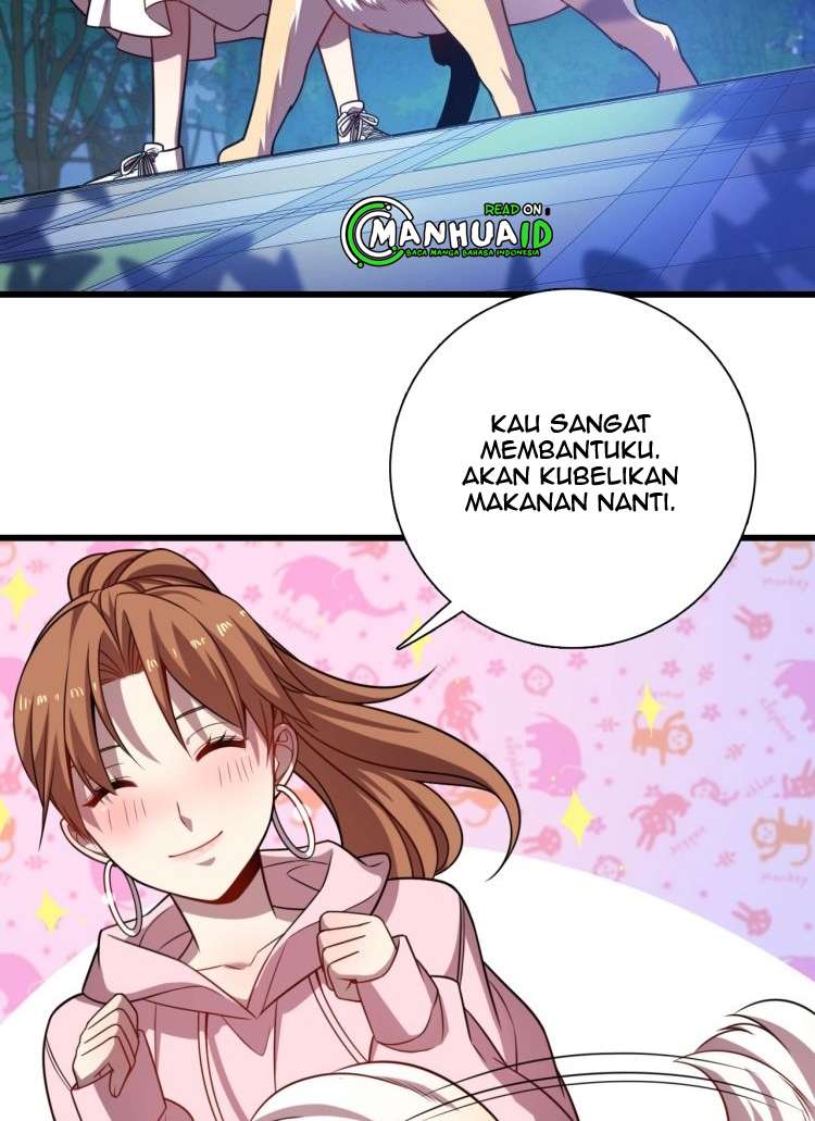 Halaman 41 dari 53