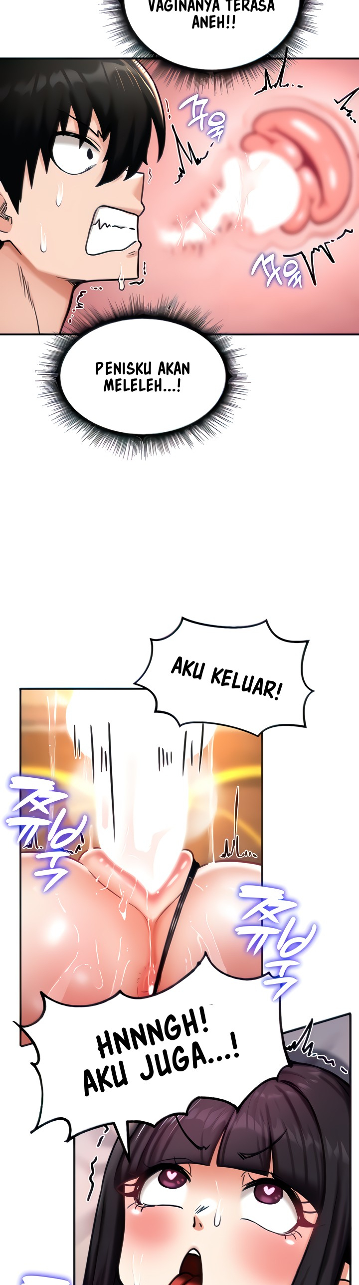 Halaman 12 dari 41