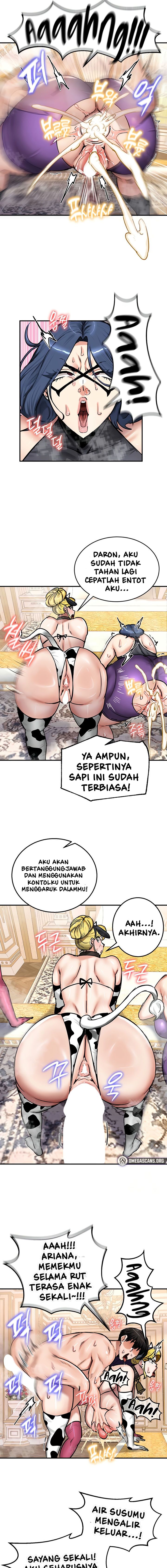 Halaman 14 dari 17