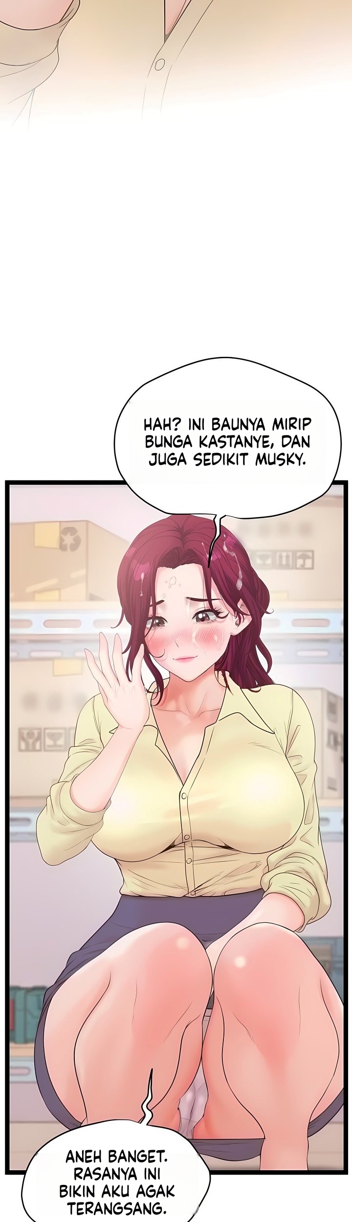 Halaman 17 dari 49