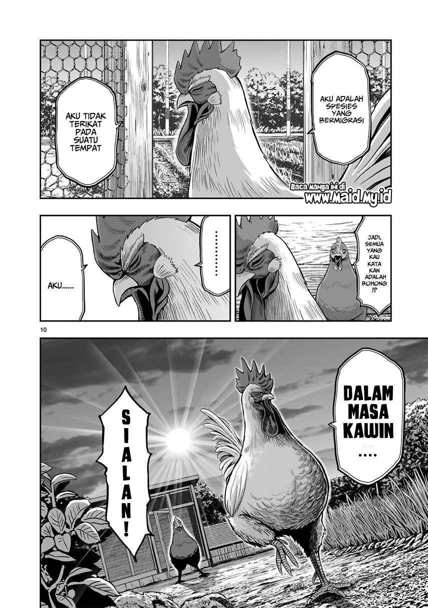 Halaman 12 dari 33