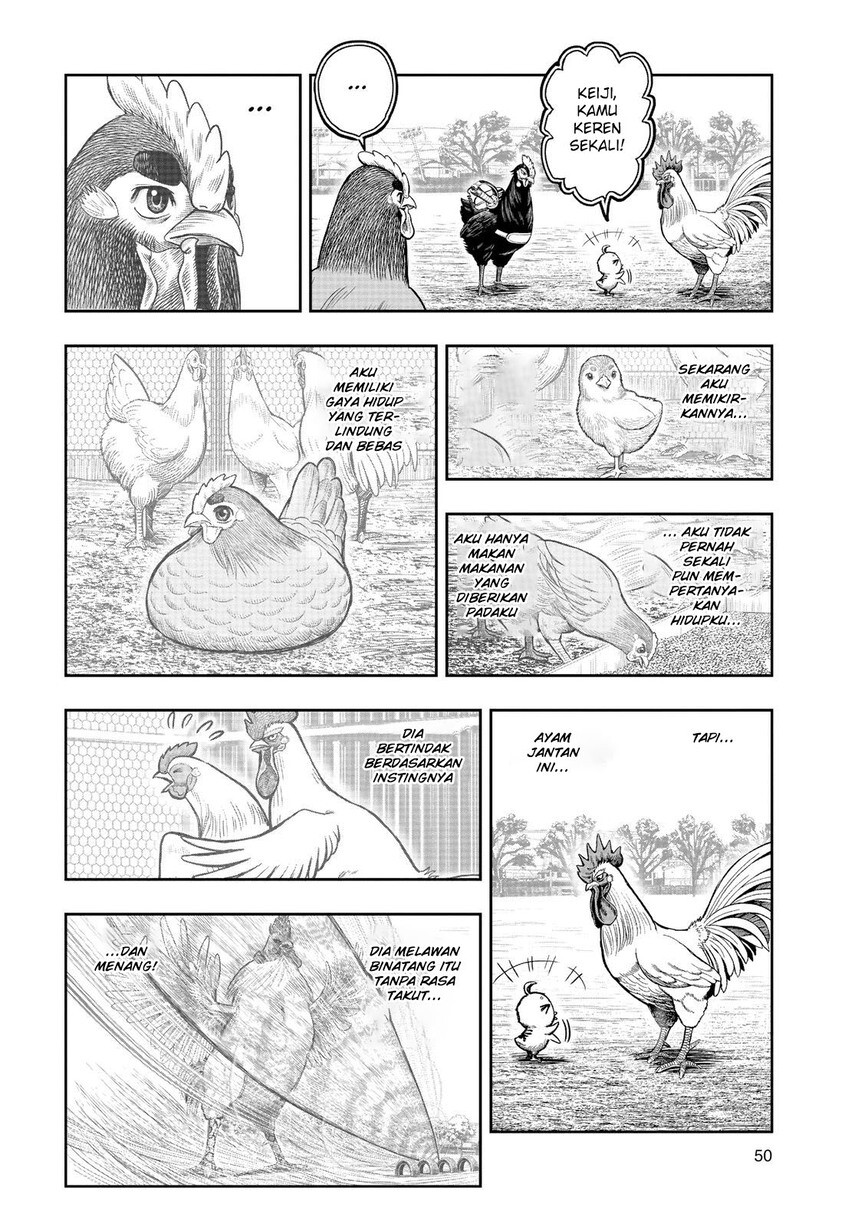 Halaman 48 dari 52