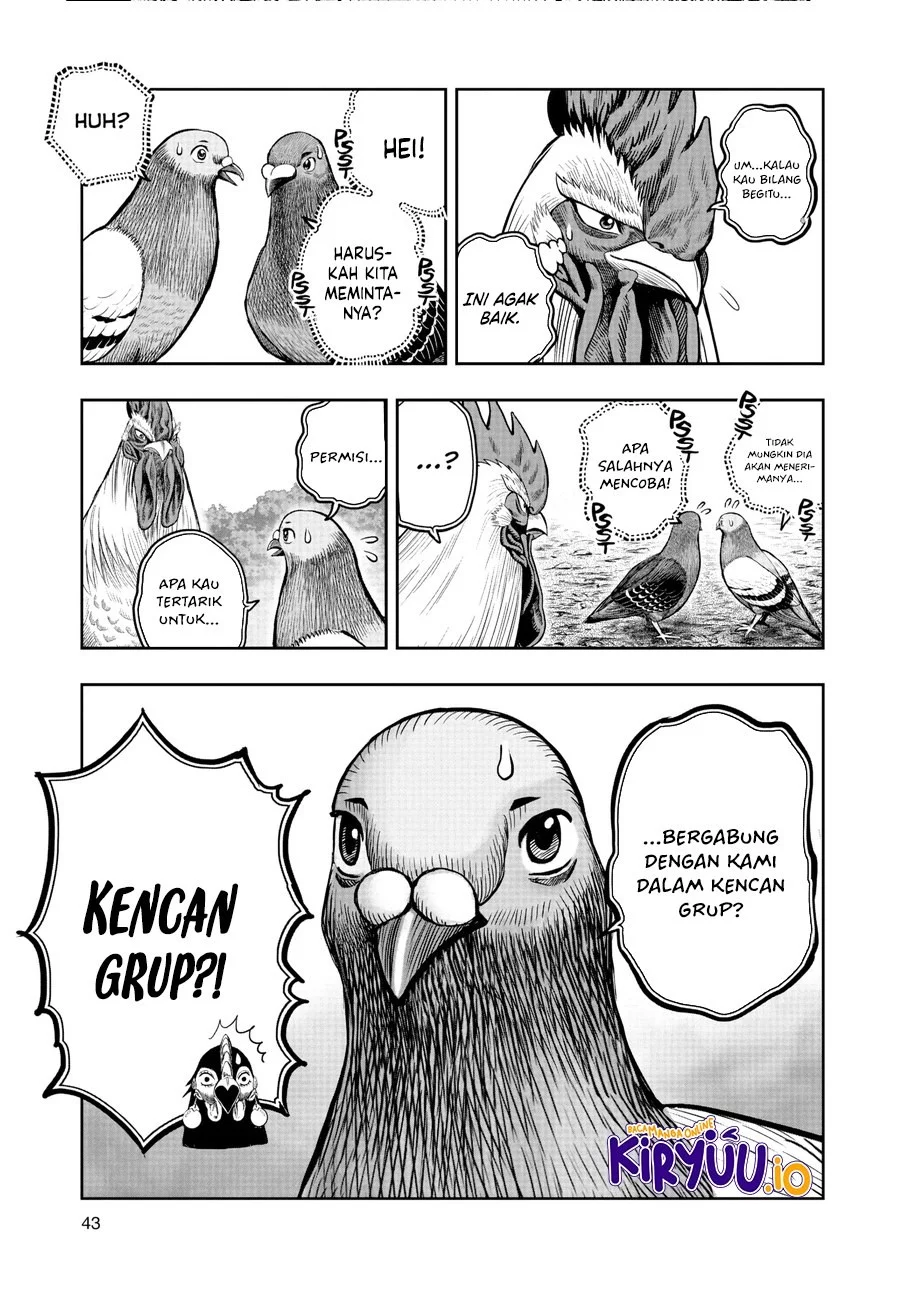 Halaman 16 dari 37