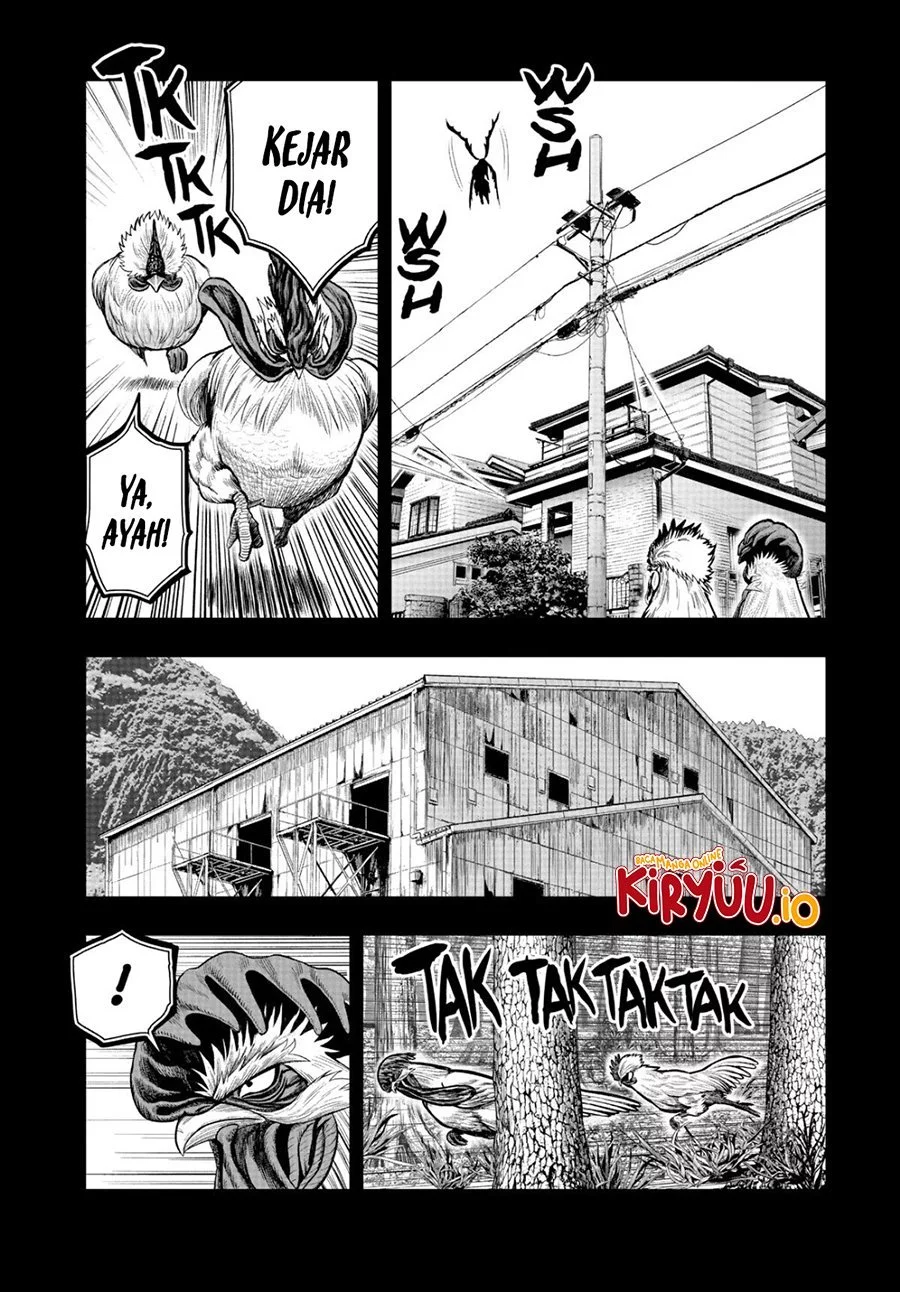 Halaman 23 dari 49