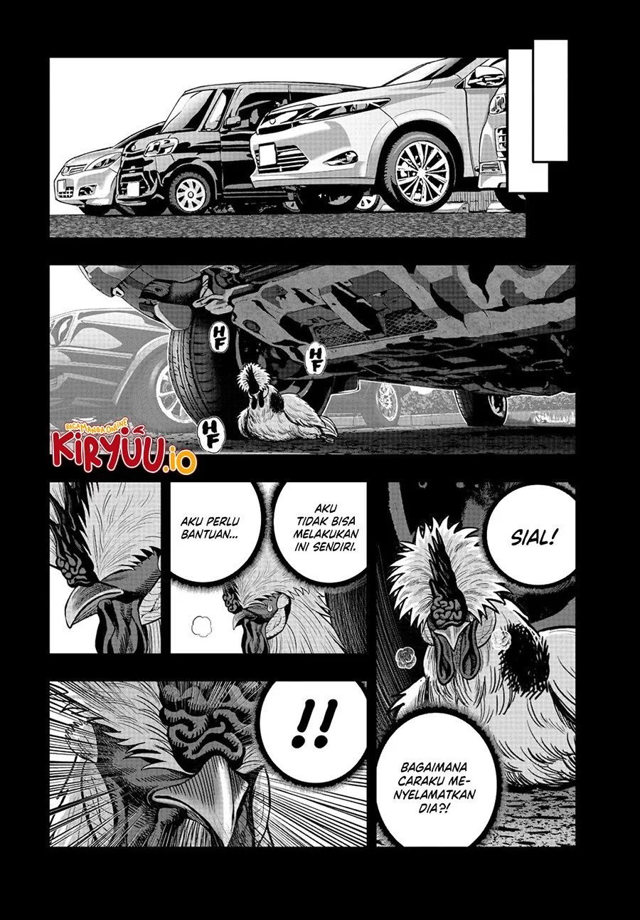 Halaman 42 dari 49