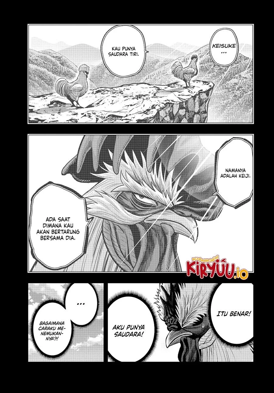 Halaman 43 dari 49