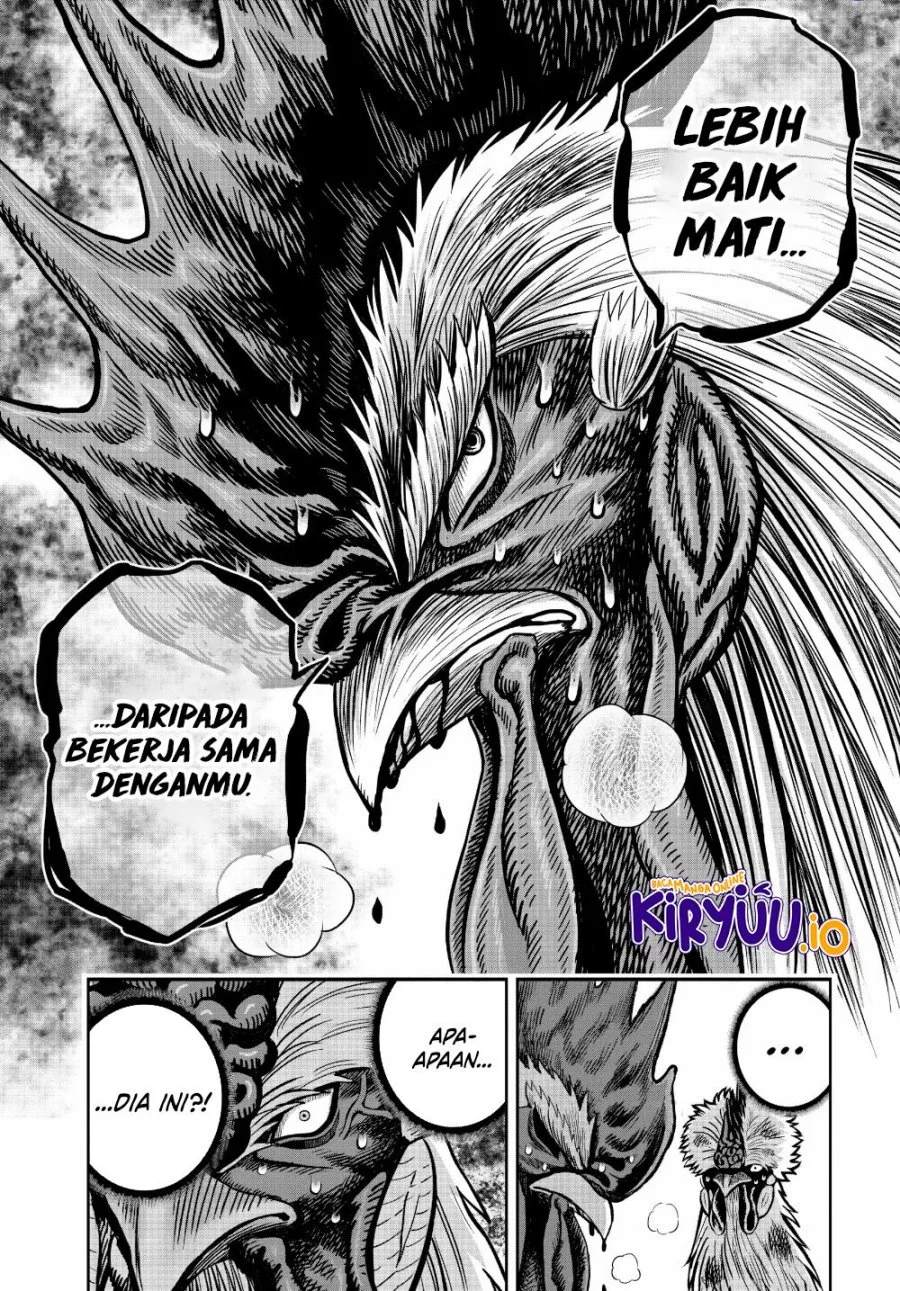 Halaman 33 dari 54