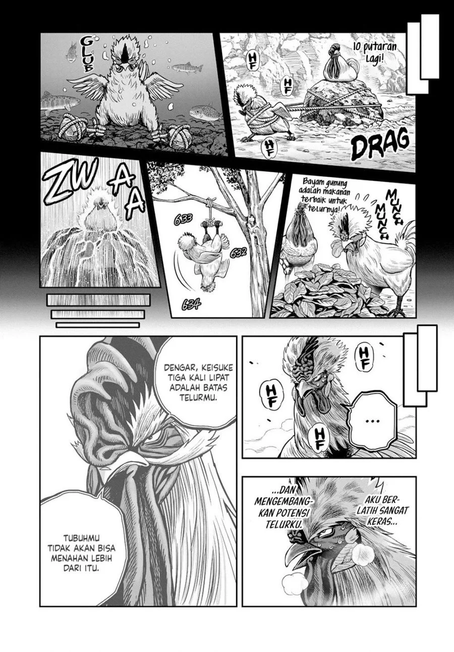 Halaman 31 dari 52
