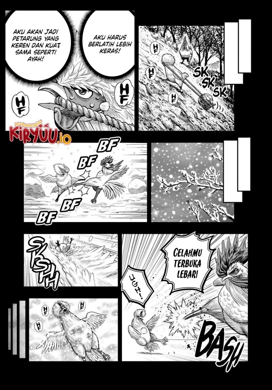 Halaman 16 dari 53