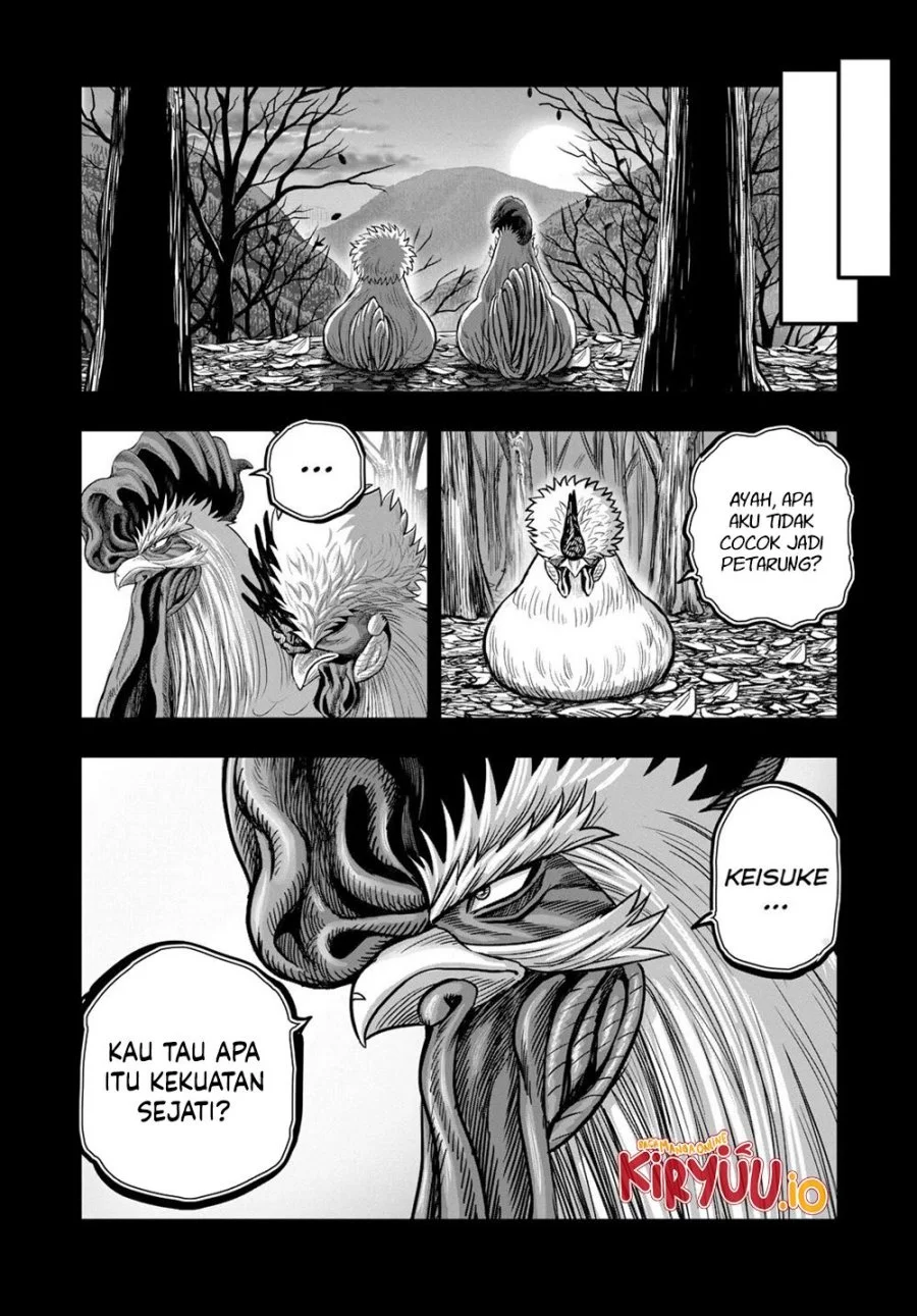 Halaman 17 dari 53