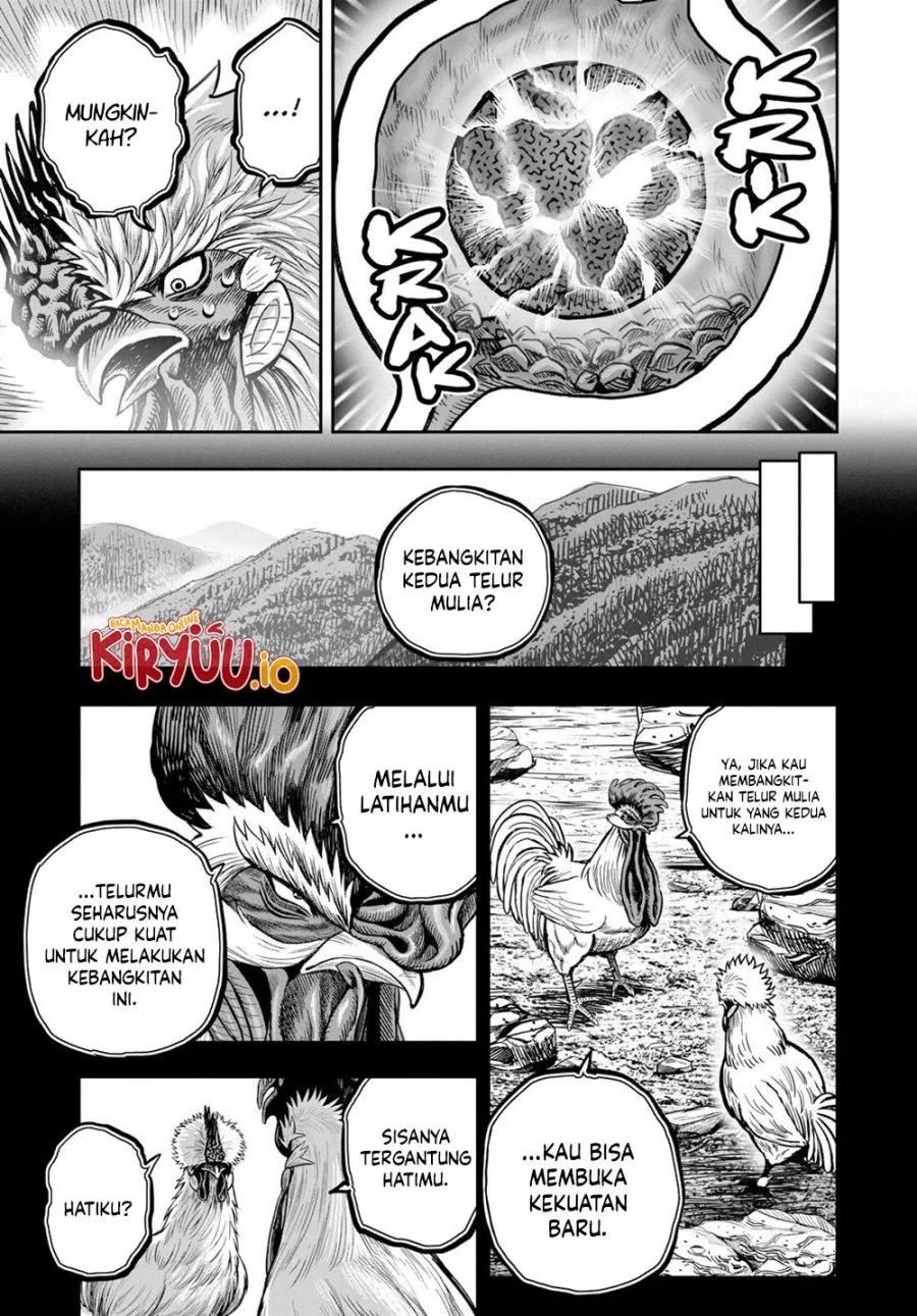 Halaman 48 dari 53
