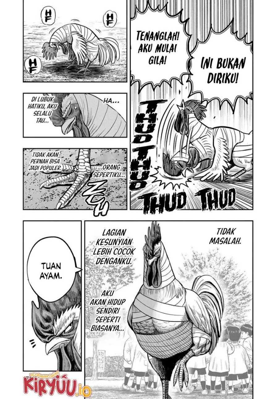 Halaman 28 dari 33