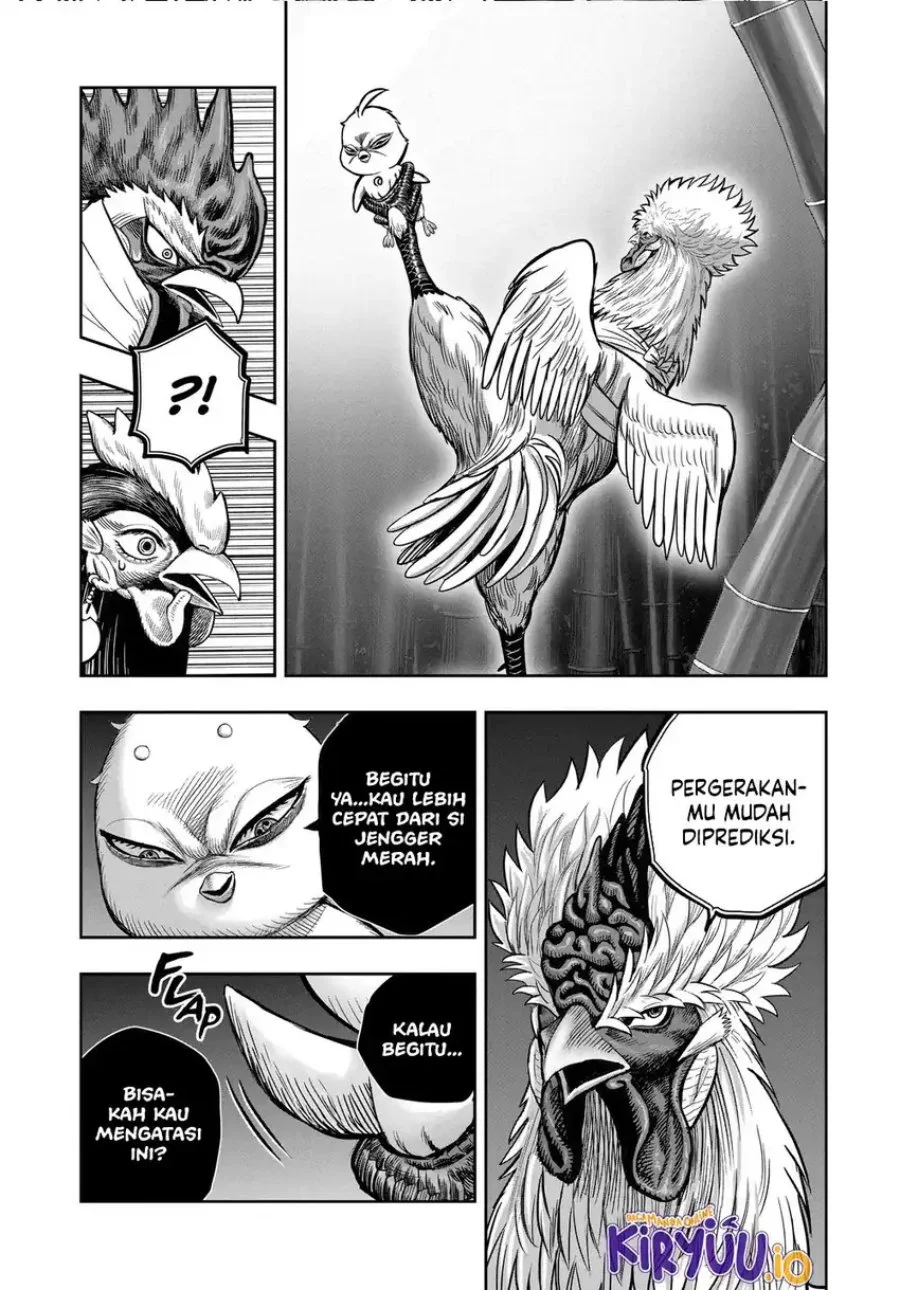 Halaman 19 dari 43