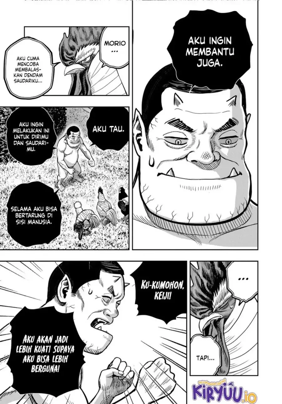 Halaman 38 dari 43