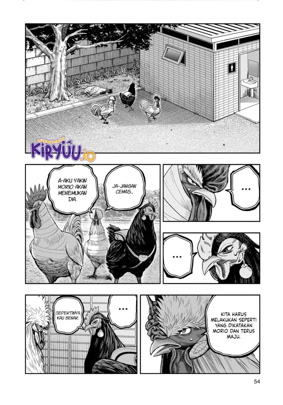 Halaman 13 dari 41