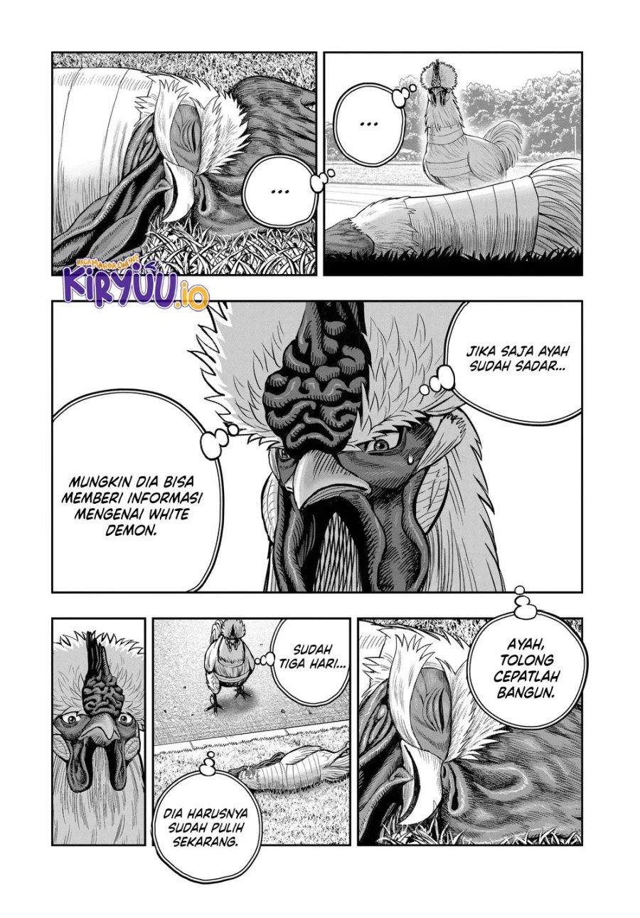 Halaman 14 dari 41