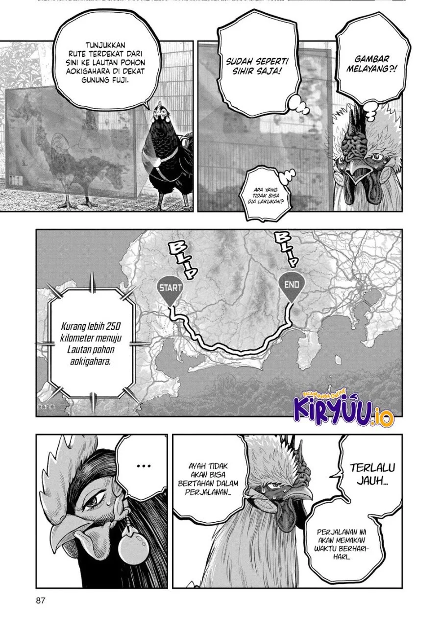 Halaman 6 dari 31