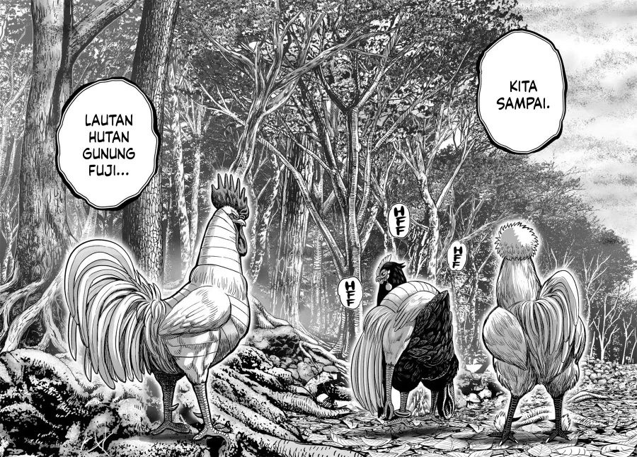 Halaman 24 dari 62