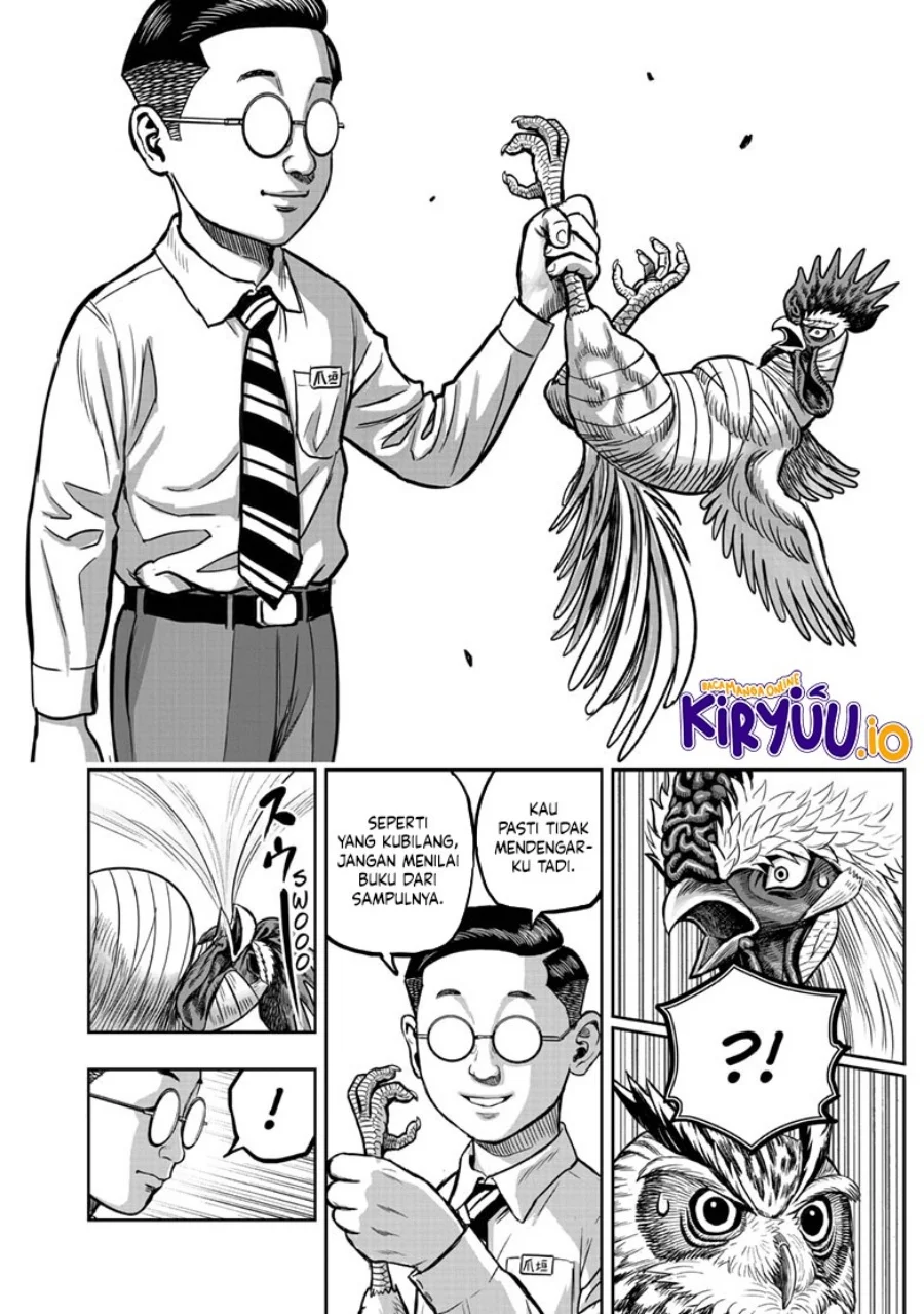 Halaman 17 dari 49