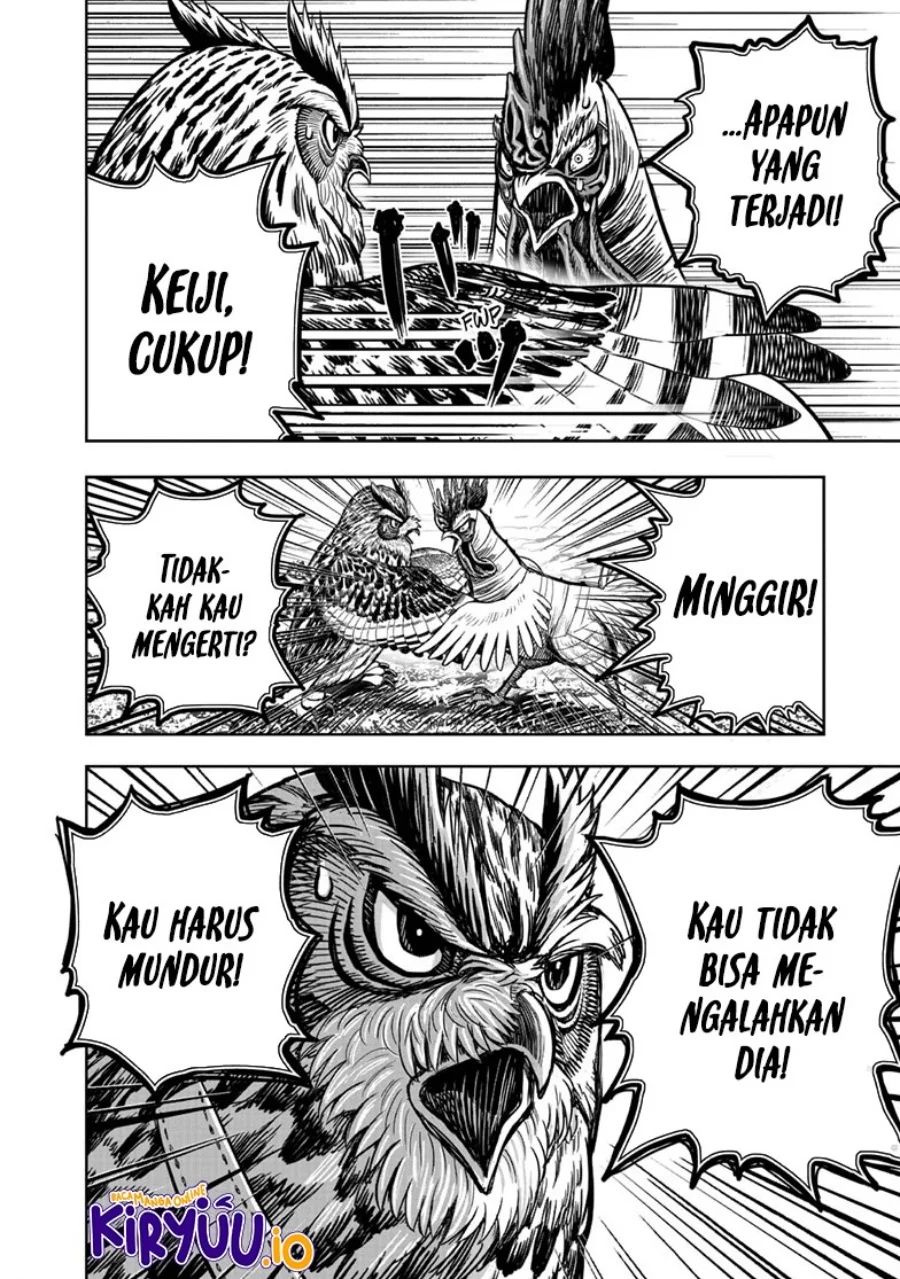 Halaman 43 dari 49