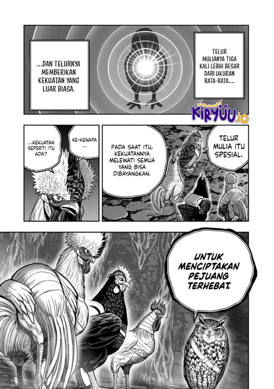 Halaman 20 dari 31