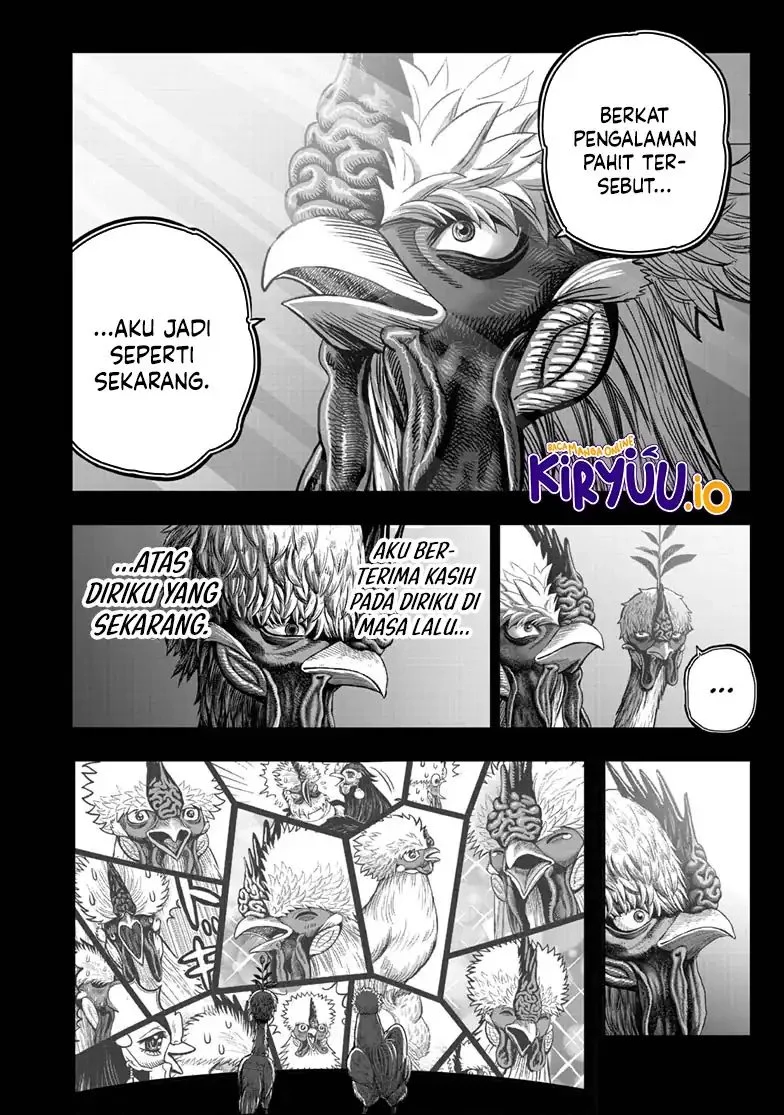 Halaman 47 dari 53