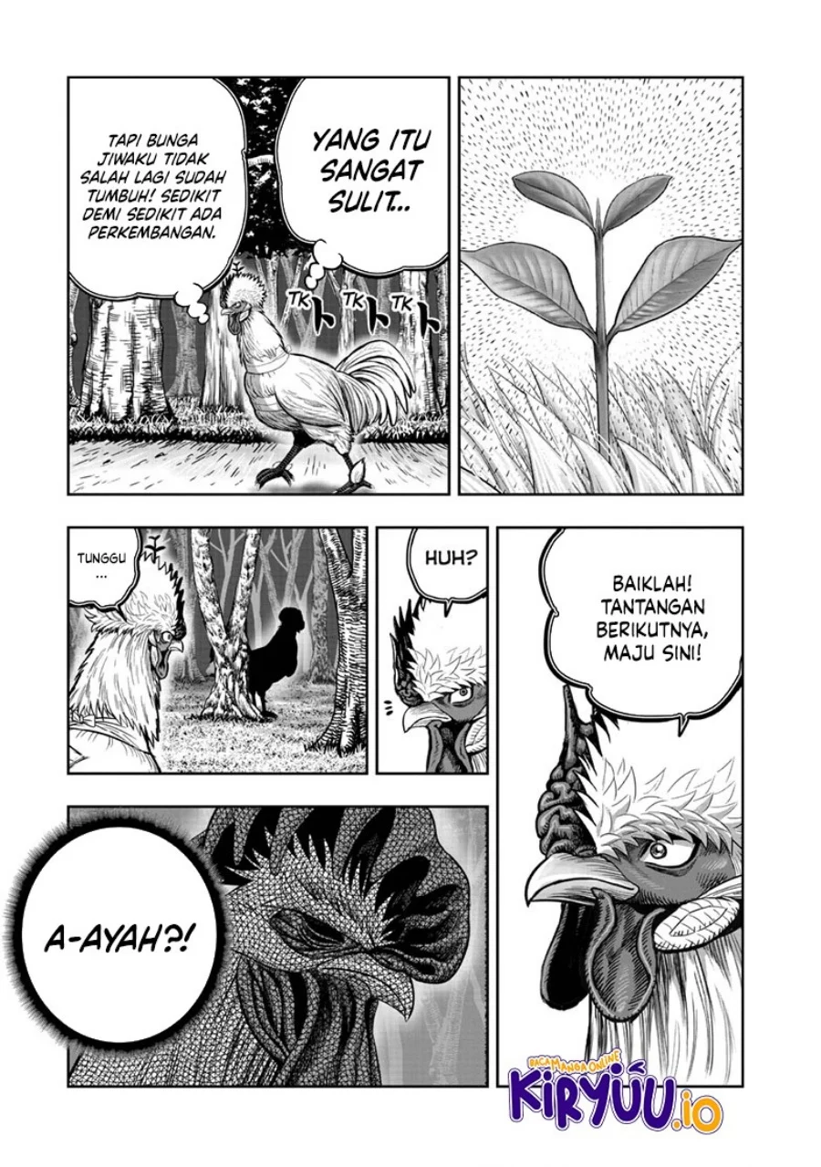 Halaman 21 dari 52