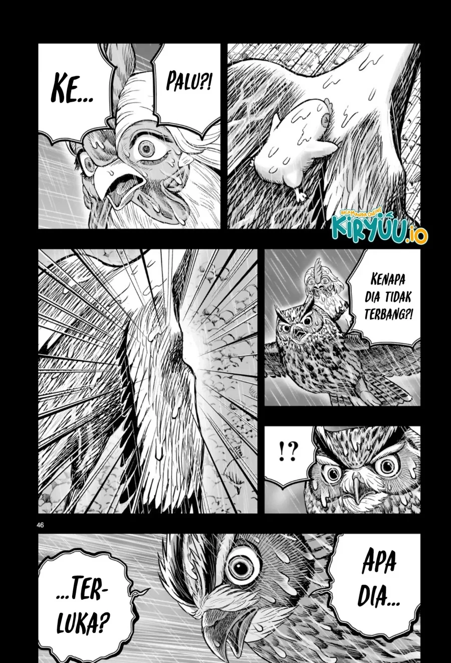 Halaman 41 dari 51