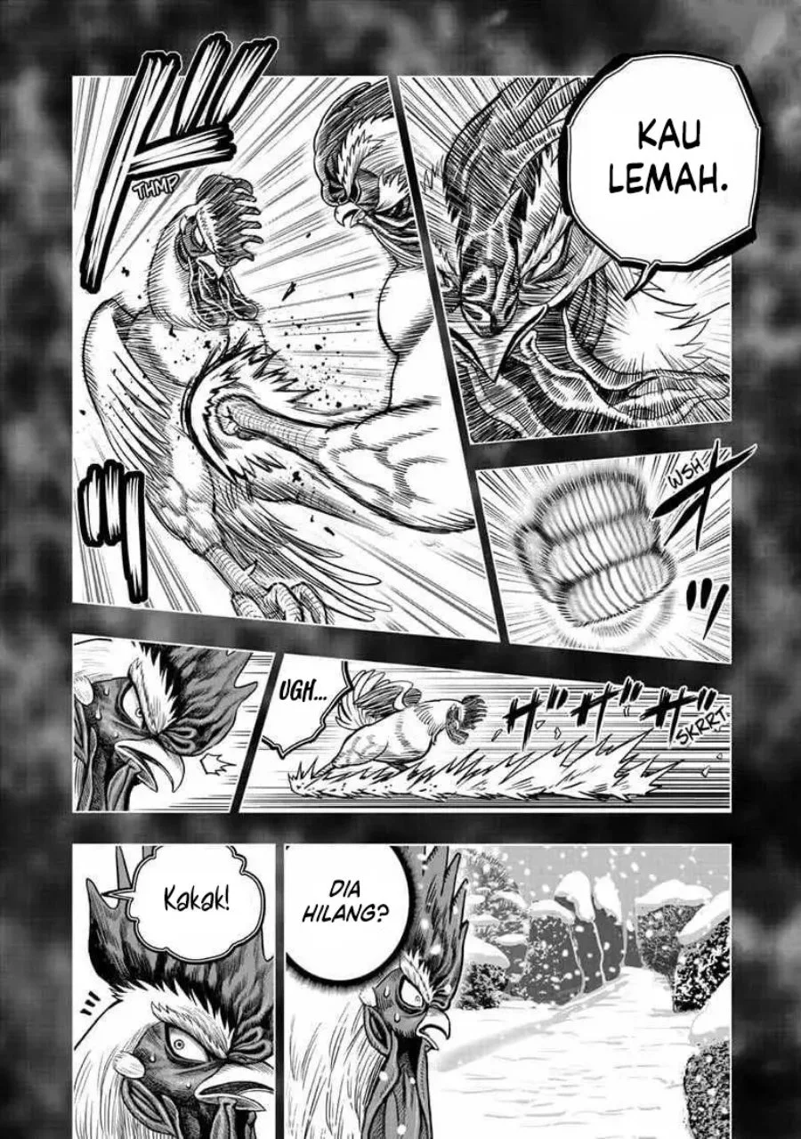 Halaman 21 dari 33