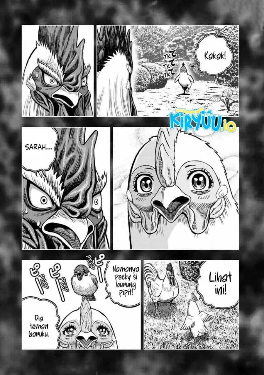 Halaman 22 dari 33