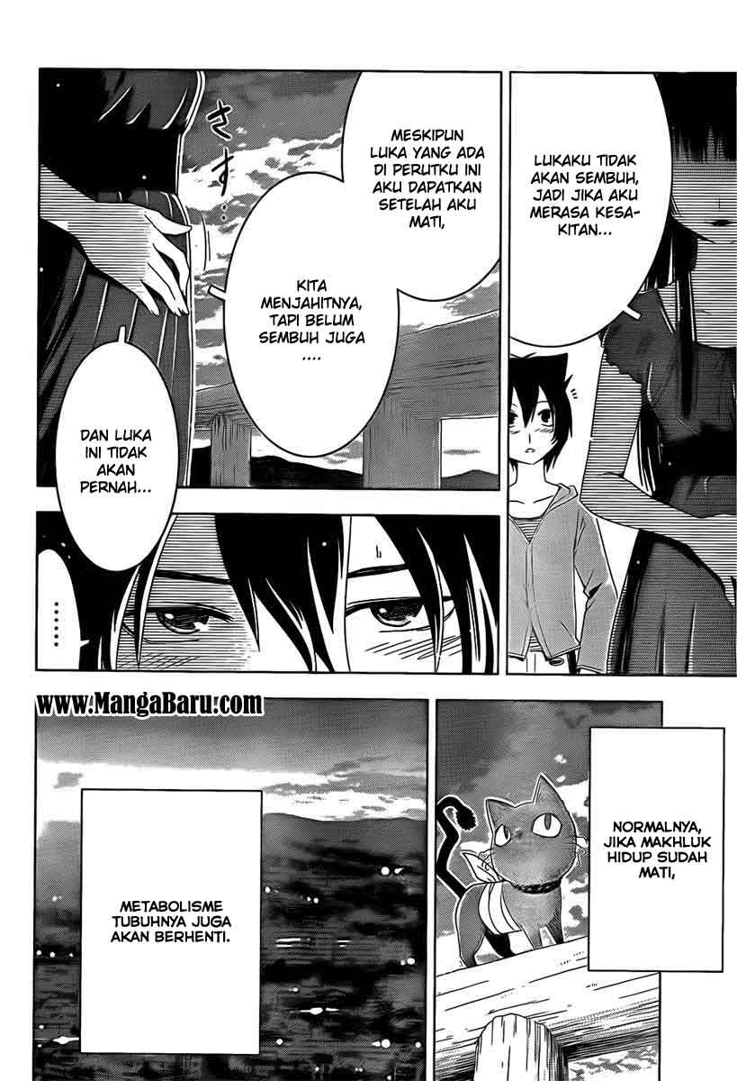 Halaman 13 dari 18