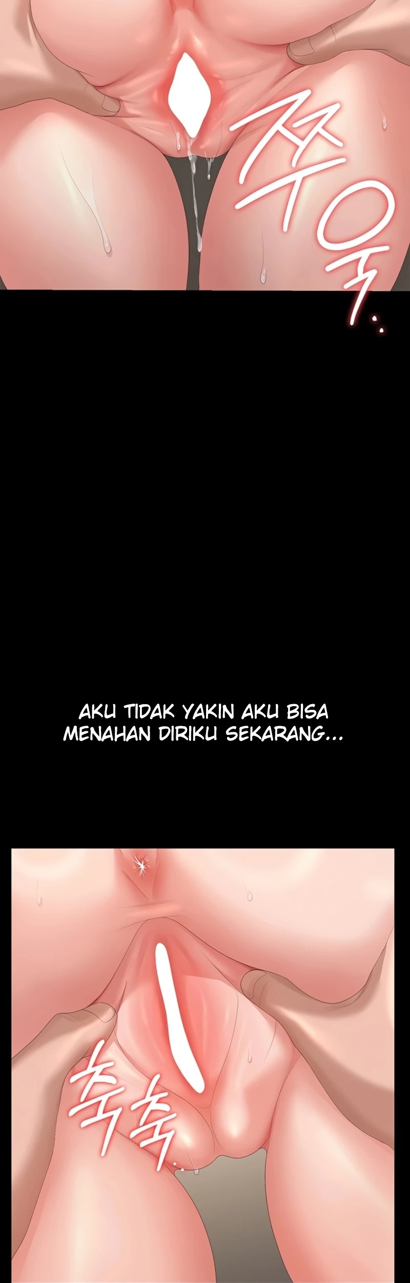 Halaman 19 dari 52