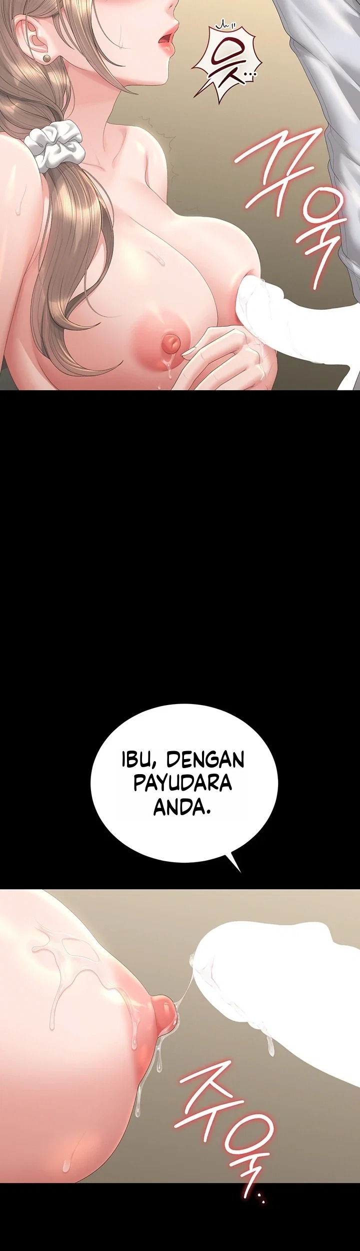 Halaman 11 dari 49