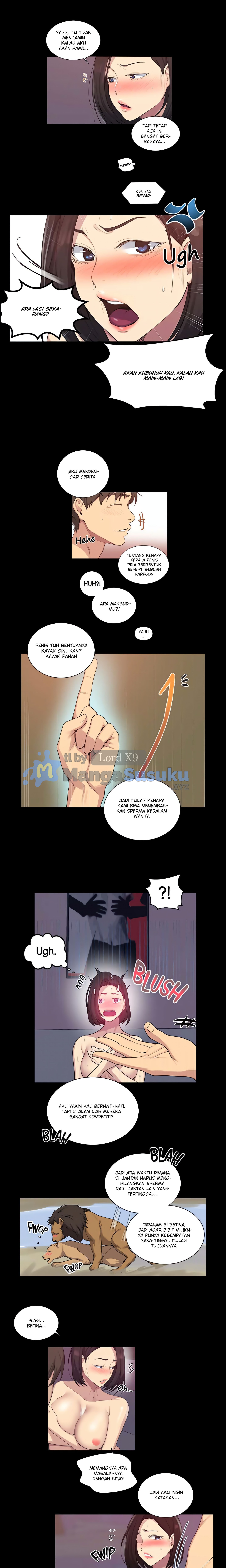 Halaman 5 dari 13